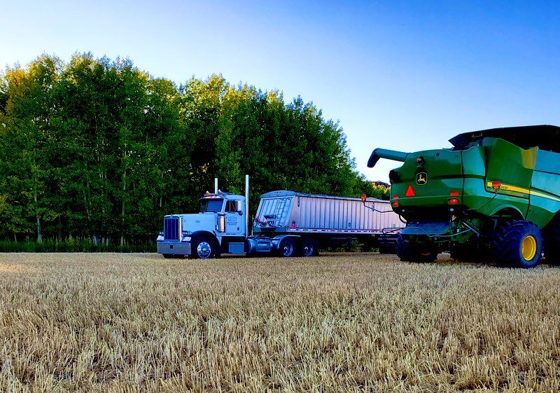 Farm Jobs Abroad for Foreigners: Free Visa, Housing, and Real Opportunities